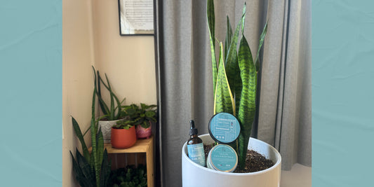 The Power of Plants - In your Home and In Our Products